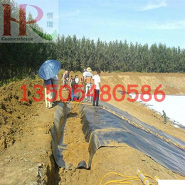 郑州土工膜、土工膜材质是什么、HDPE土工膜价格(多图)