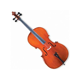 大提琴培训,大提琴培训学校,哆来咪乐器