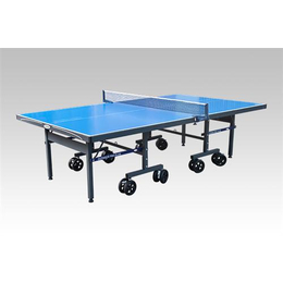 香港乒乓球桌、双子星体育用品(在线咨询)、标准乒乓球桌尺寸