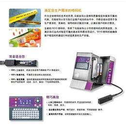 供应全自动喷码机_北京全自动喷码机_登仕朗(多图)缩略图