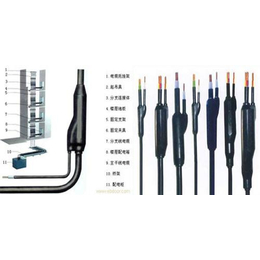 预分支电缆|阳谷****电缆(在线咨询)|预分支电缆yfd