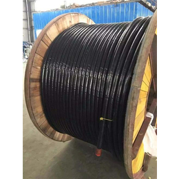 电缆|新力特电线电缆|电线电缆