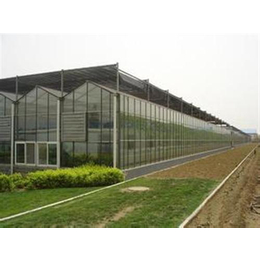玻璃温室,恒圣温室,农业观光园玻璃温室设计缩略图
