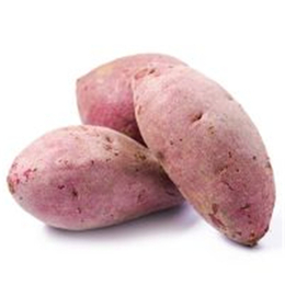 新鲜蔬菜紫薯批发价格 