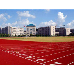 濮阳塑胶跑道、体育场塑胶跑道、威亚体育设施