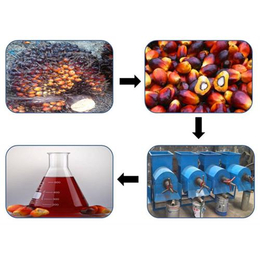 棕榈油生产设备|生产棕榈油生产设备|棕榈油生产制造(多图)