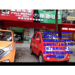 E5祥瑞新款富路熊猫电动小轿车价格缩略图