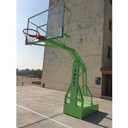 天津奥健体育用品厂(图)|仿液压篮球架批发|仿液压篮球架