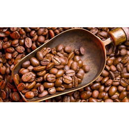 提供上海干朱古力咖啡豆咖啡饮料进口报关报检代理