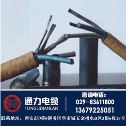 电线电缆、陕西电缆厂、华县电线电缆价格