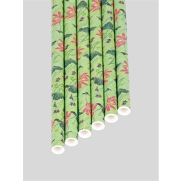 深圳普丰纸管(图)、条纹纸吸管价格、条纹纸吸管