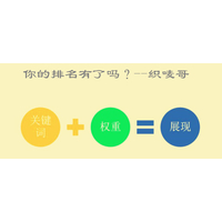 通过外链****权重和排名的原理