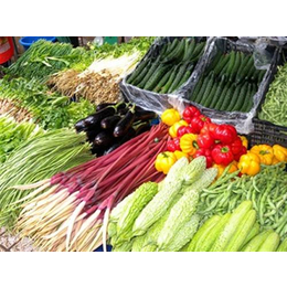 蔬菜,蔬菜,北半球食品(多图)