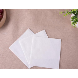 顺洁纸业(图),餐厅纸巾批发,郴州餐厅纸巾