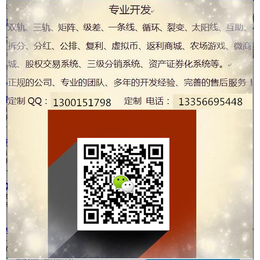 山东多等级*软件济南*系统开发设计公司*软件设计价格