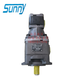 美国桑尼阳光SUNNY齿轮泵 双联泵 高压油泵