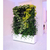 植物墙|植物墙板|铭秀立体缩略图1