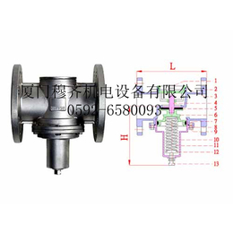 原装进口台湾日泰凡而Z-Tide直动式泄压阀代理销售价格优势