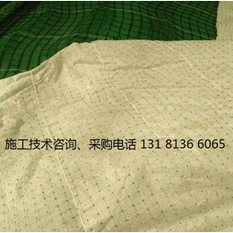 植物纤维毯 *冲生物毯 椰丝植物纤维环保草毯绿化
