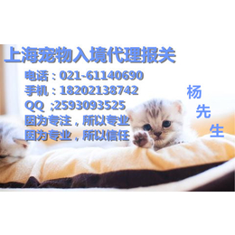 宠物猫狗上海机场代理报关报检