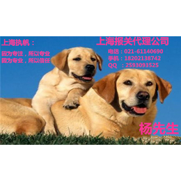 上海入境小狗清关方法