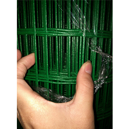 包塑铁丝 荷兰网 PVC涂塑荷兰网 养鸡铁丝围栏网 防护网