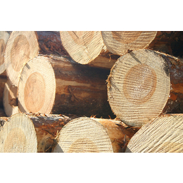 木材进口报关的运作操作流程