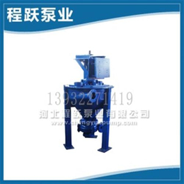 程跃泵业(图)_af泡沫泵6SV-AF_咸阳泡沫泵