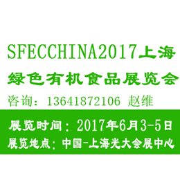 2017第十三届上海*及*展览会 