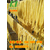广西桂林小型腐竹机价格 全自动腐竹生产线 河北腐竹机生产厂家缩略图2