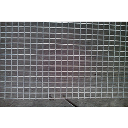 供应 建筑防护电焊网片 铁丝电焊网片
