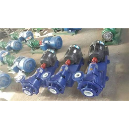 六盘水氟塑料泵,利泽泵业,零售FSB氟塑料化工泵