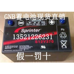 原装美国GNB蓄电池S12V285