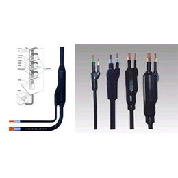 预分支电缆_阳谷****电缆(在线咨询)_预分支电缆制作