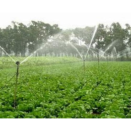 节水灌溉工程施肥机(图)、园林灌溉工程施肥机、大丰收灌溉