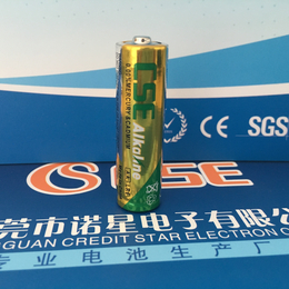 电池厂家 低价供应5号碱性电池 LR6碱性电池 AA碱性电池缩略图