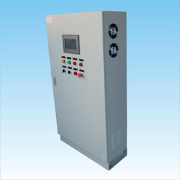 电气控制柜_大弘自动化(在线咨询)_锅炉电气控制柜