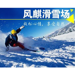 榆次滑雪场|山西凤麒生态(****商家)|滑雪场设施