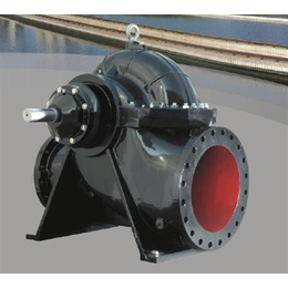 新疆离心泵DFSS200-860(I)B不锈钢中开泵