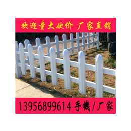 安徽巢湖庐江PVC围墙护栏无为含山pvc栅栏和县塑钢围栏