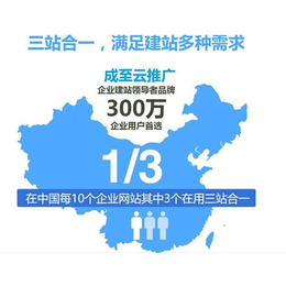杭州网站建立、网站建立方案、成至国际(多图)