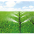 过滤器规格型号|大丰收灌溉|福州过滤器生产厂家缩略图1