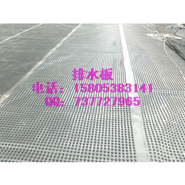 厦门网状排水板-5公分排水板C型排水板土工布