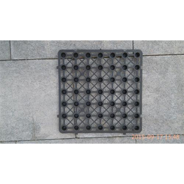 济南排水板|兴源防水材料(****商家)|20mm排水板