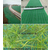 环保草毯 边坡绿化 椰丝毯 加筋植生毯 *冲生物毯缩略图2