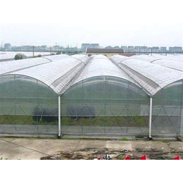 玻璃温室、玻璃温室承建到恒圣温室、玻璃温室设计加工