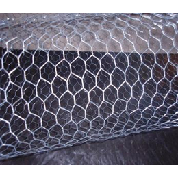 生产供应包塑格宾网 拧花六角石笼网 河床稳定装石头铁丝笼缩略图
