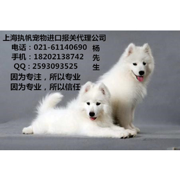 中国SH入境宠物报关报检清关隔离