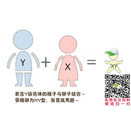 生男生女的方法|时代生男孩咨询|选择生男生女的方法哪里比较准