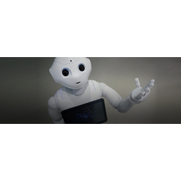 2017国际第十六届智能服务机器人展览会